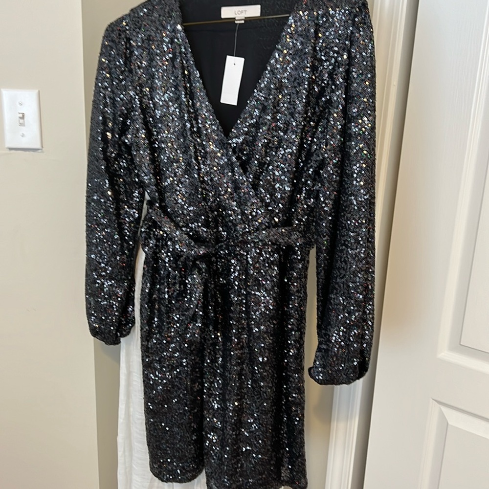 Loft Sequin Dress